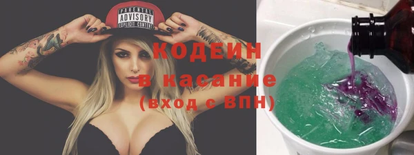 гашик Алексеевка