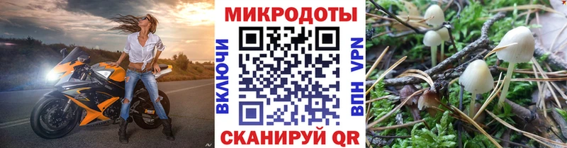 продажа наркотиков  Апатиты  Псилоцибиновые грибы MAGIC MUSHROOMS 
